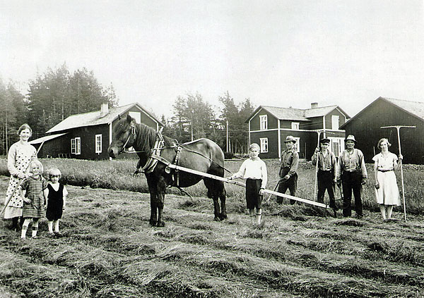 Slåtterarbete Gammgårn